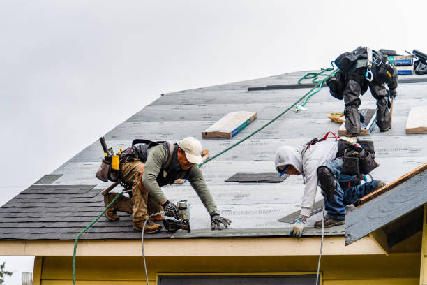 Professional Roof Replacement technician working in Bishop, GA